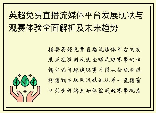 英超免费直播流媒体平台发展现状与观赛体验全面解析及未来趋势